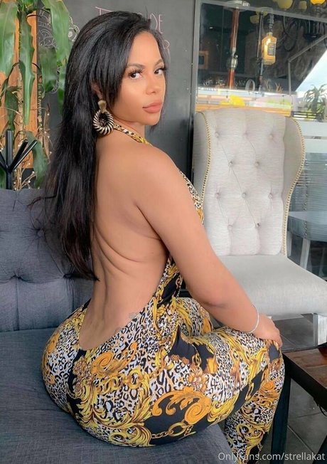 Strellakat modèle hd img