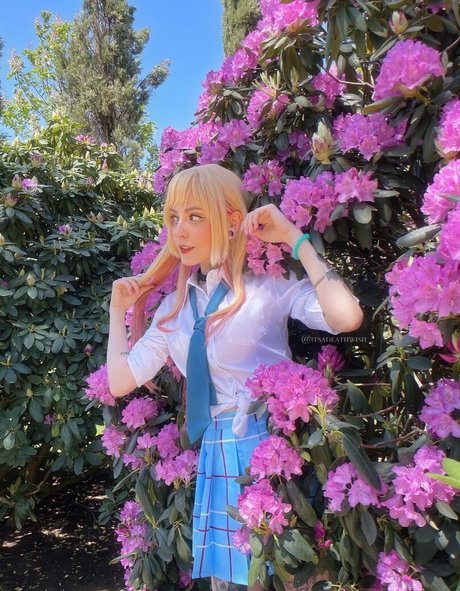 itsadeathwish top star archive