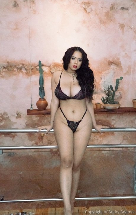 audryadames art étoile galerie