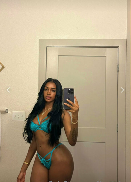 lingcakes modèle magnifique collection