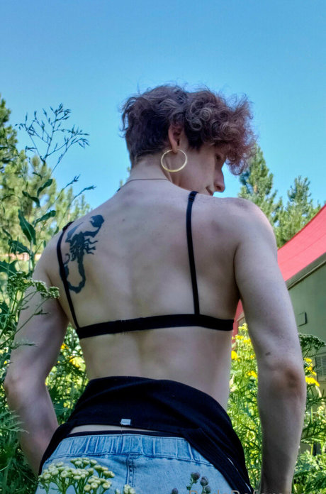 redsreferences Imagen de perfil