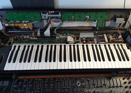 Shygal lilly estrella porno gratis imágenes