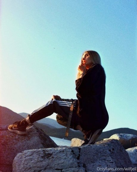 wilfjell estrella exclusiva recopilación