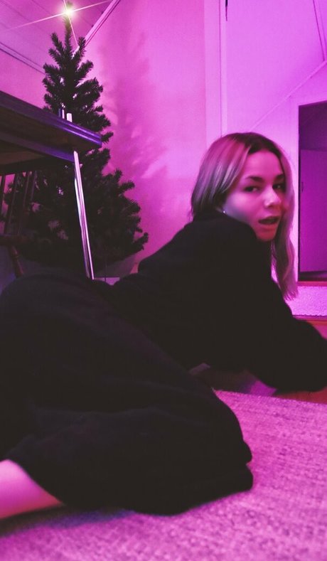 wilfjell belle étoile galeries