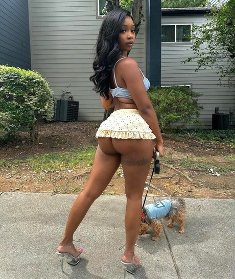 Daalischus étoile magnifique archive