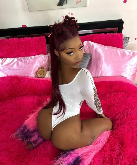 Daalischus modèles nus img