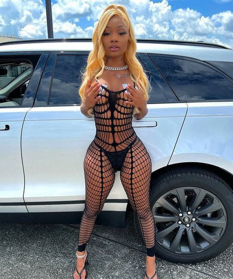 Daalischus estrella caliente archivo