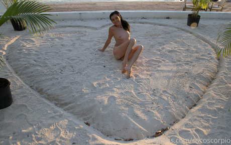 Cocoscorpio étoile chaude photo