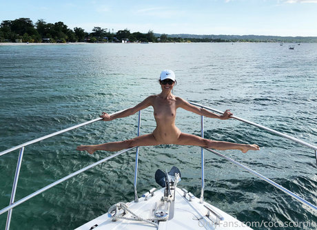 Cocoscorpio art star du porno image