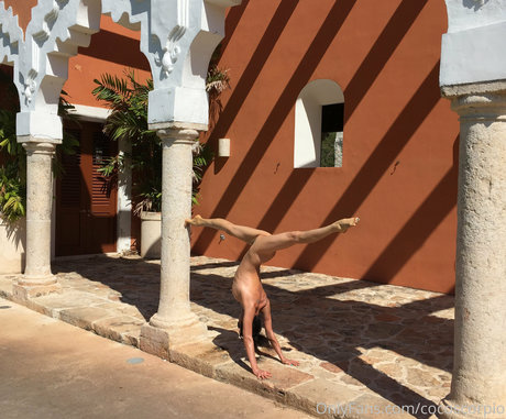 Cocoscorpio estrella porno de arte galería