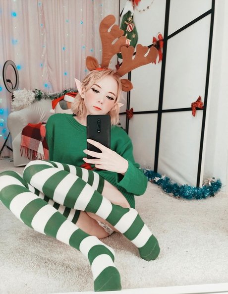 Tanuki tyan modelo perfecto imágenes