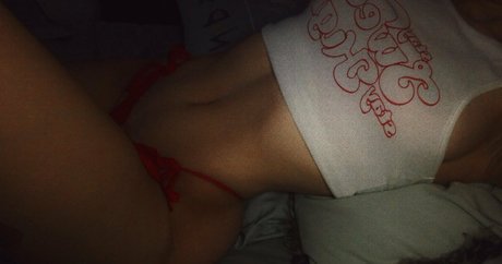 ariafreee Imagen de perfil