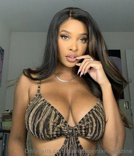 darkphoenixvip nus étoiles photo