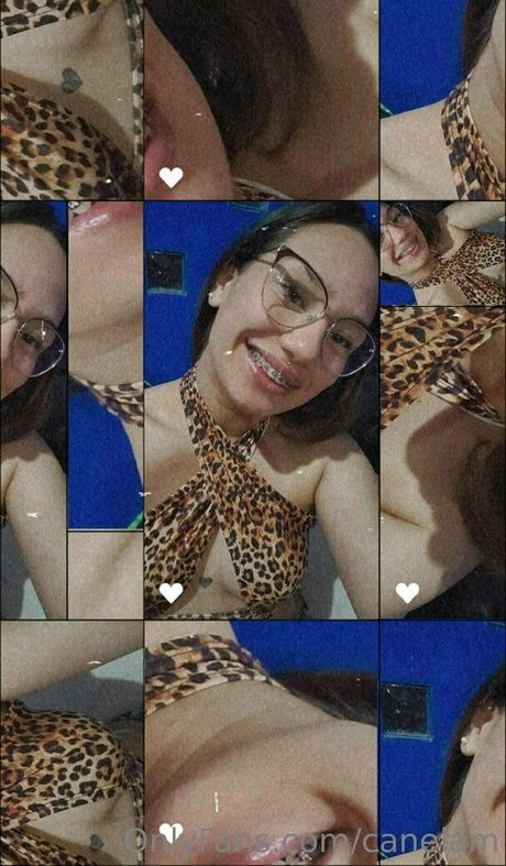 canelam pornstar best photos