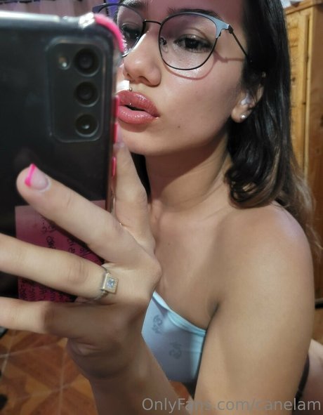 canelam estrella agradable galería