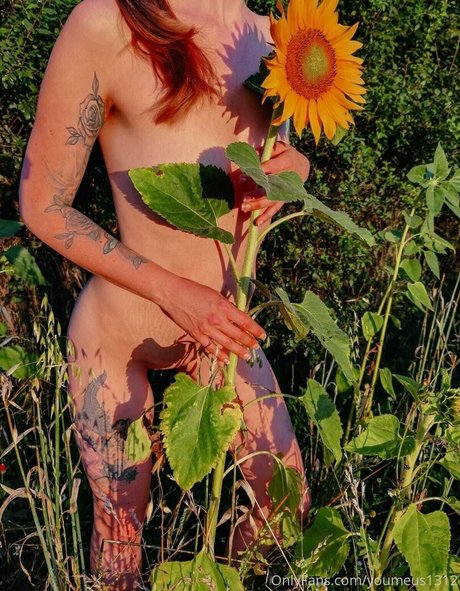 youmeus1312 Image de profil