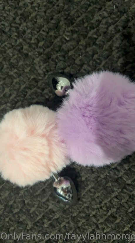 tayylahhmorggann belle étoile image