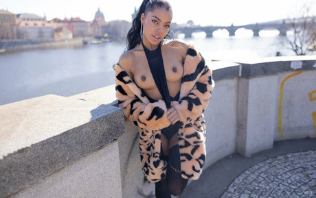 coño público onlyfans arte de alta calidad imágenes