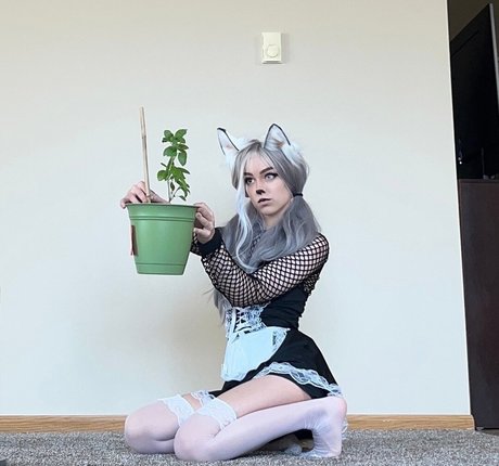 Awkspew roo2 joli modèle photos