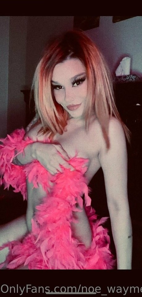 noe waymefree240399 actriz xxx galería