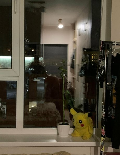 tashablunt étoile de l'art galeries