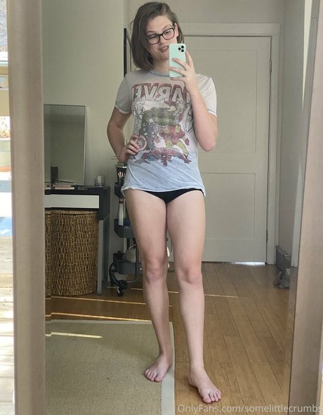 somelittlecrumbs étoile sympa galeries