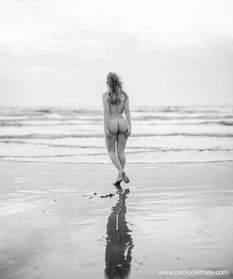 Claudia Lion étoile collection