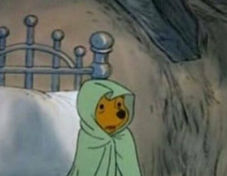 The Sarah Gracie actrice parfaite photo