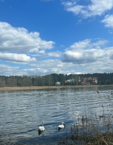 love techno drink modelo bonita imágenes