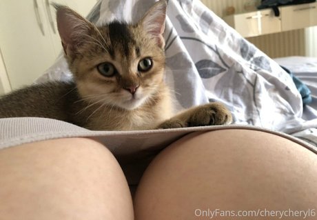 Cheryl Pride estrella porno erótica galerías