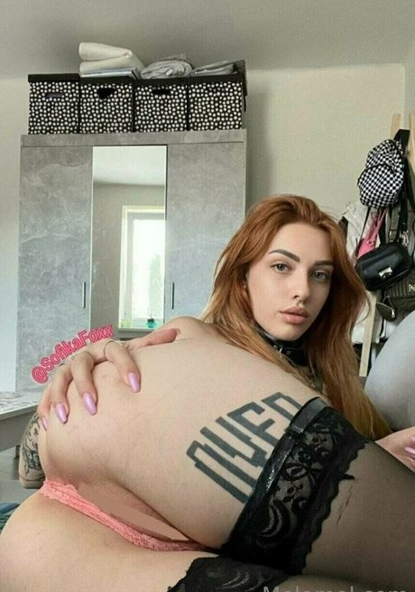 melo4free mejor modelo galerías