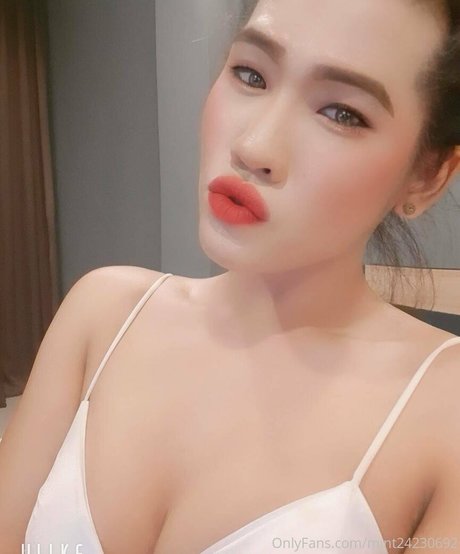 mint24230694 jolie étoile galeries