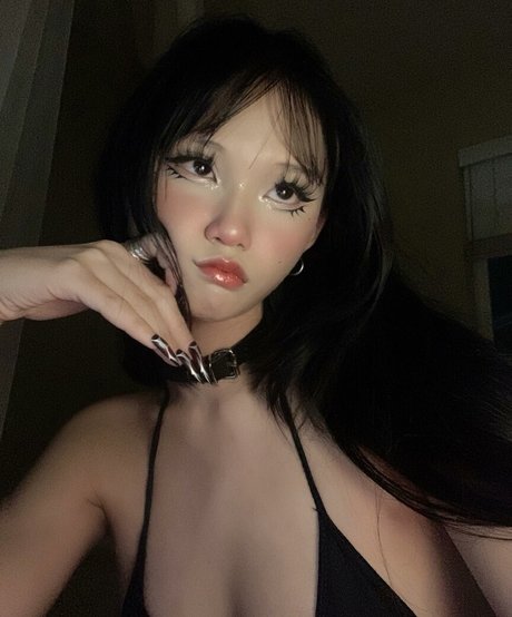 xji3lan étoile parfaite images