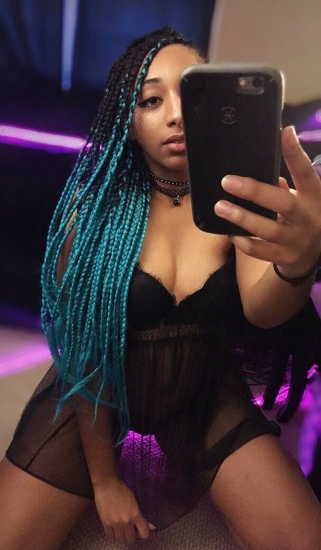 meowster nus étoiles image