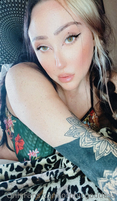 orphicgoddess étoile parfaite photo