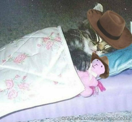 smoll n sweet 2k2 haut de star du porno photo