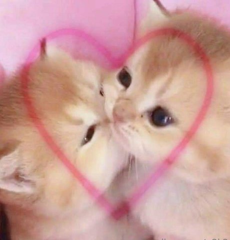 smoll n sweet 2k2 Image de profil