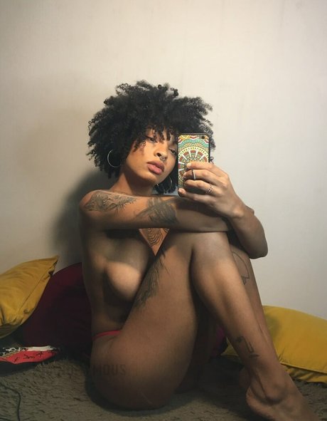 Molive star art picture