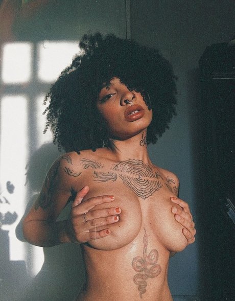 Molive model galleries