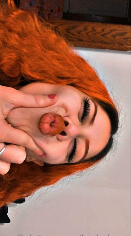 kashabaee étoile nue galeries