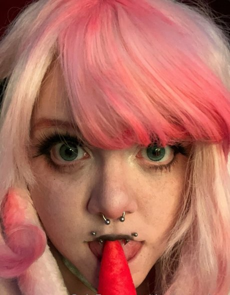 The bunny bee xxx estrella porno galería