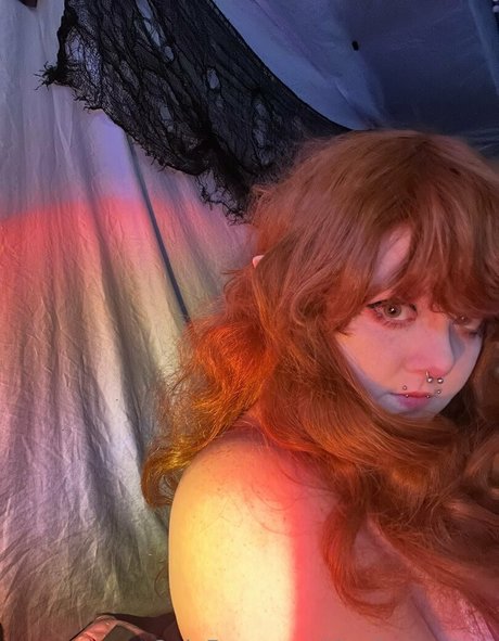 The bunny bee arte modelo archivo