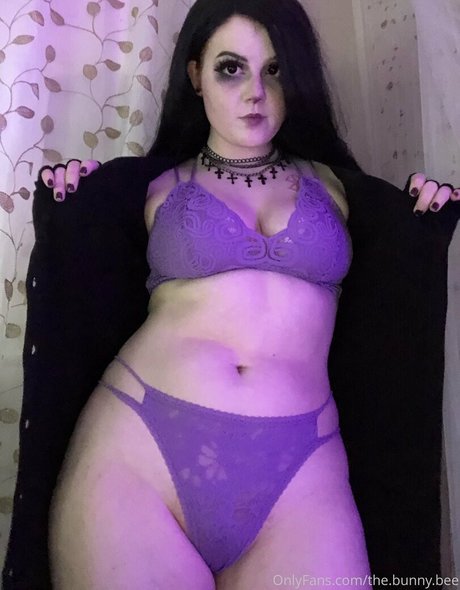 The bunny bee étoile adulte photo