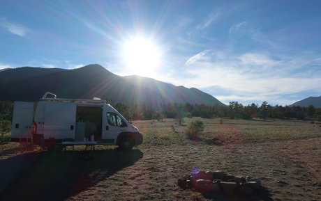 naomiwildman3 Image de profil