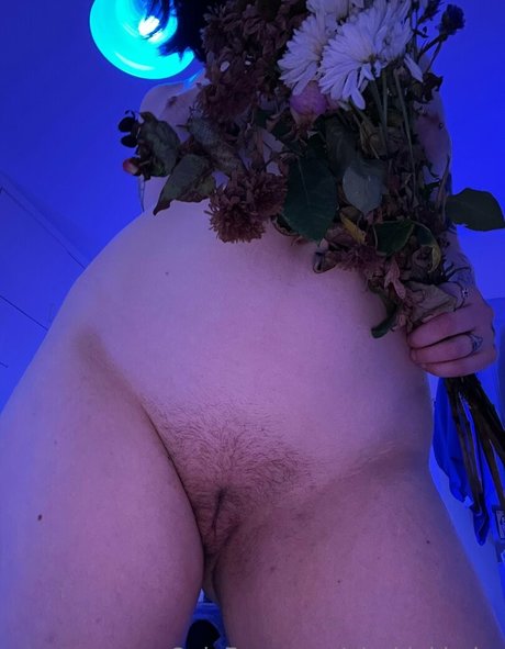 xalicee star du porno belle images