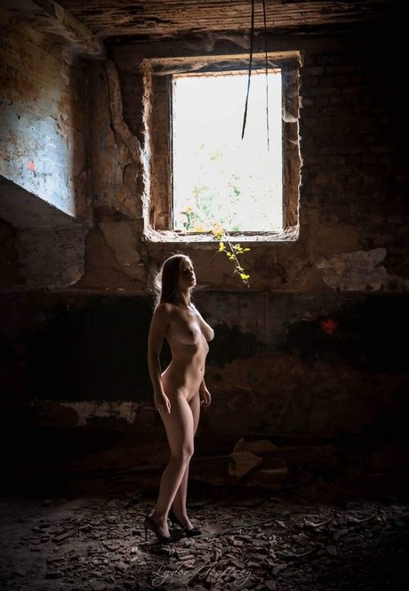 Venus Nordique modèle artistique galerie