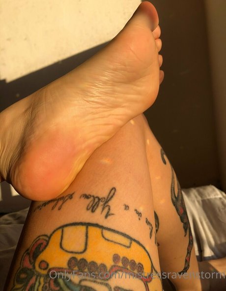 mravenstorm étoile exclusive collection