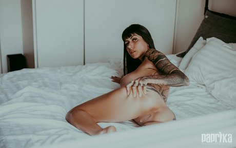 Paprika art modèle photos