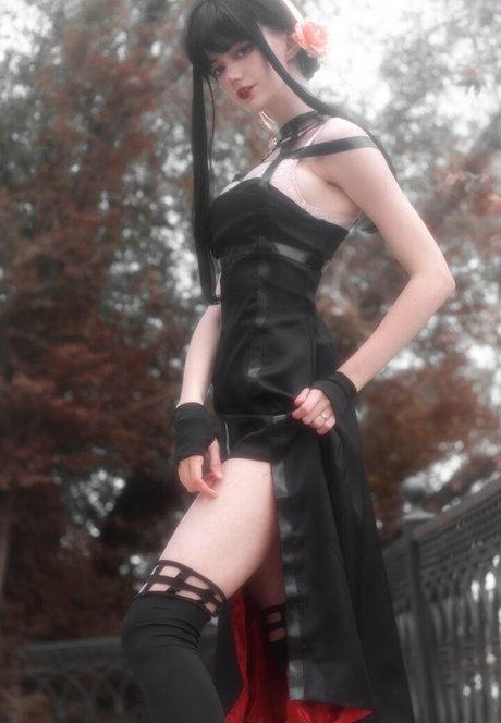 ryo kizuchi estrella bonita imágenes