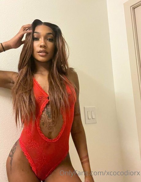 xcocodiorx exclusive pornstar pictures